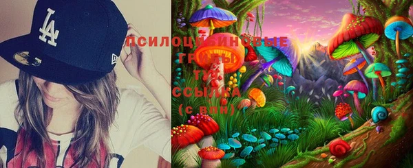 мяу мяу кристалл Фёдоровский