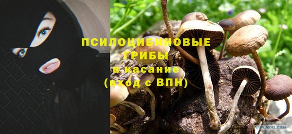 прущие крисы Калининец