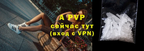 прущие крисы Калининец